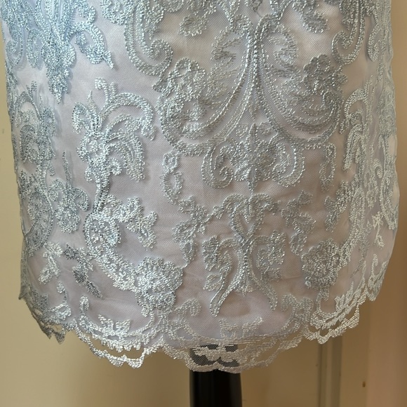 Baby Blue Embroidered Mesh Mother of the Bride Dress 6 EUC - Picture 5 of 13